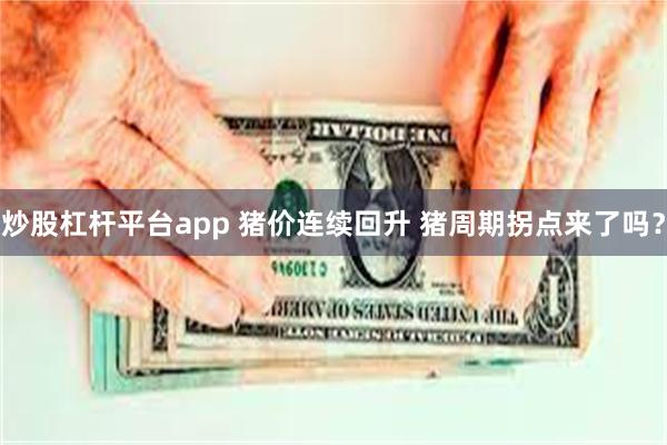 炒股杠杆平台app 猪价连续回升 猪周期拐点来了吗？
