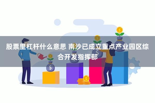 股票里杠杆什么意思 南沙已成立重点产业园区综合开发指挥部