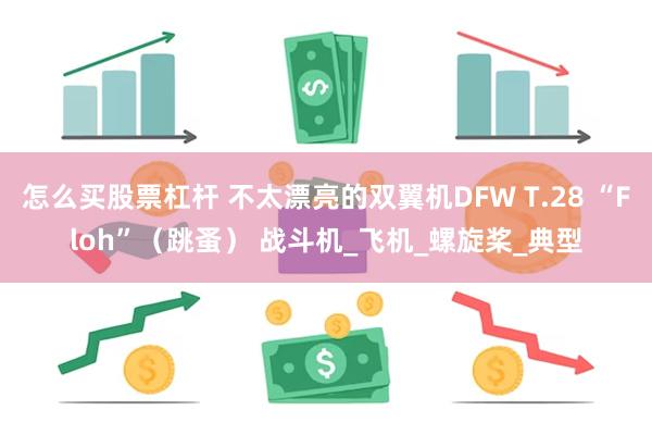 怎么买股票杠杆 不太漂亮的双翼机DFW T.28 “Floh