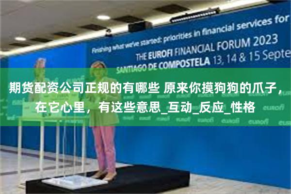 期货配资公司正规的有哪些 原来你摸狗狗的爪子，在它心里，有这
