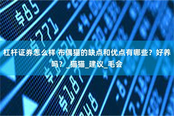 杠杆证券怎么样 布偶猫的缺点和优点有哪些？好养吗？_猫猫_建