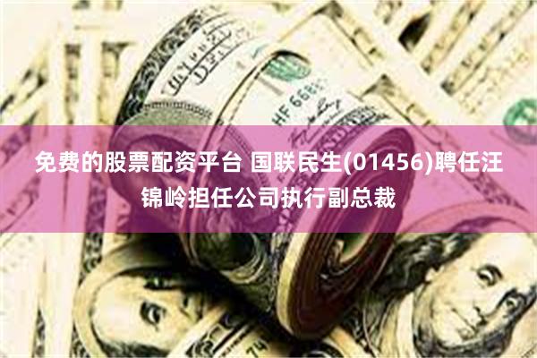 免费的股票配资平台 国联民生(01456)聘任汪锦岭担任公司