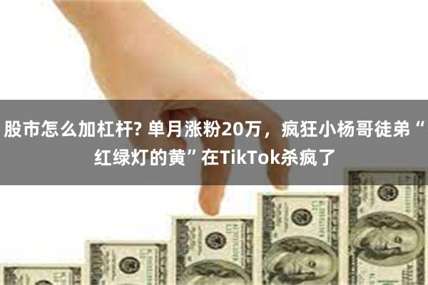 股市怎么加杠杆? 单月涨粉20万，疯狂小杨哥徒弟“红绿灯的黄